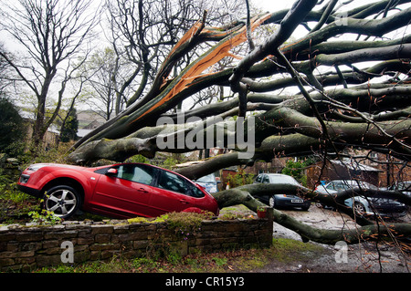 Danni causati dal vento, Uppermill, OLDHAM, LANCASHIRE REGNO UNITO. Foto Stock