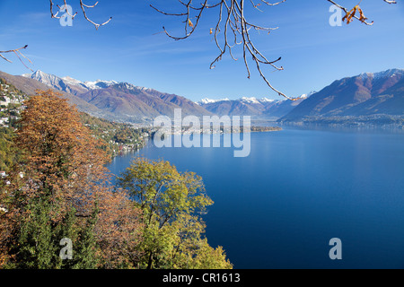 Vista sul Lago Maggiore di Ascona e Locarno, Ronco sopra Ascona, Ticino, Svizzera, Europa Foto Stock