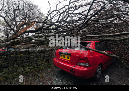 Danni causati dal vento, Uppermill, OLDHAM, LANCASHIRE REGNO UNITO. Foto Stock