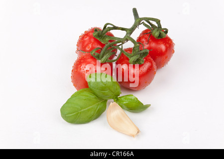 Pomodorini con aglio e basilico Foto Stock