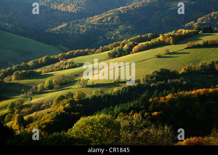 Paesaggio autunnale vicino alla Basilica di San Pietro nella Foresta Nera, Baden-Wuerttemberg, Germania, Europa Foto Stock