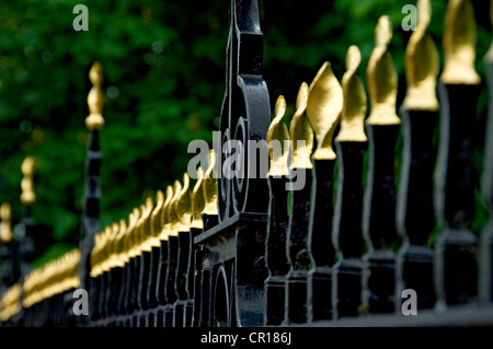 Primo piano dettaglio di ringhiere in ferro battuto dorato in Inghilterra Regno Unito GB Gran Bretagna Foto Stock