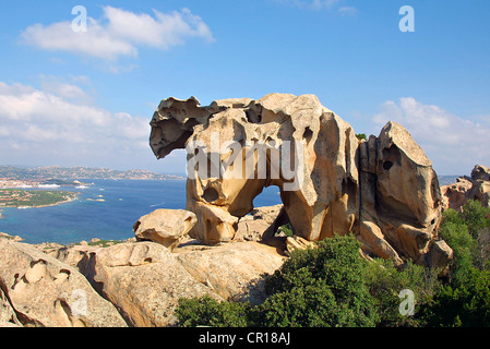 L'Italia, Sardegna, Gallura, Palau, Orso capo a Palau Foto Stock