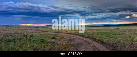 Tempesta oltre il Masai Mara, il Masai Mara riserva nazionale, Kenya, Africa orientale, Africa, PublicGround Foto Stock