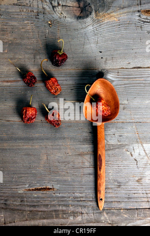 Il Peperoncino (Capsicum) con un cucchiaio di legno su un rustico di una superficie di legno Foto Stock