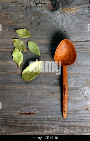 Foglie di alloro (Laurus nobilis) con un cucchiaio di legno su un rustico di una superficie di legno Foto Stock