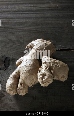 Lo zenzero (Zingiber officinale) Rizoma su un rustico di una superficie di legno Foto Stock