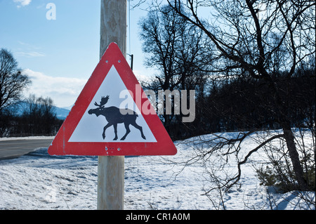 Segno di traffico avviso per le alci attraversando la strada Foto Stock