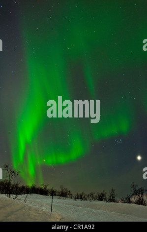 Northern Lights dancing attraverso il cielo in Tromso, Norvegia Foto Stock