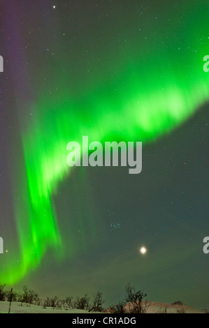 Northern Lights dancing attraverso il cielo in Tromso, Norvegia Foto Stock