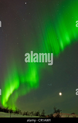 Northern Lights dancing attraverso il cielo in Tromso, Norvegia Foto Stock
