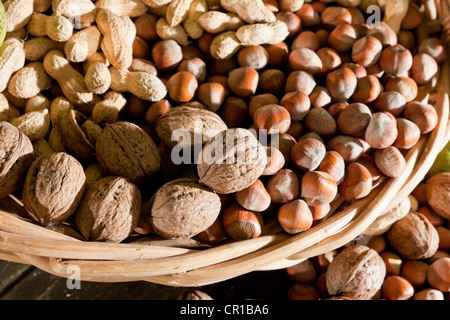 Cesto in Vimini con dadi misti, noci (Juglans regia), arachidi (Arachis hypogaea) e nocciole (Corylus avellana) Foto Stock