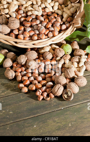 Cesto in Vimini con dadi misti, noci (Juglans regia), arachidi (Arachis hypogaea) e nocciole (Corylus avellana) su un rustico Foto Stock