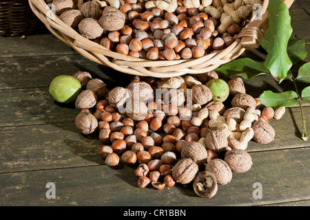 Cesto in Vimini con dadi misti, noci (Juglans regia), arachidi (Arachis hypogaea) e nocciole (Corylus avellana) su un rustico Foto Stock