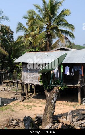 Parabola satellitare attaccato ad un vecchio albero divieto Donchai Tailue Village Laos Foto Stock