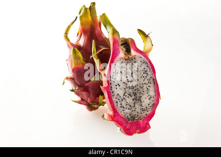 Red pitaya o frutto del drago (Hylocereus undatus) Foto Stock