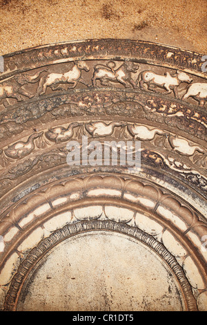 La pietra di luna a Mahasen's Palace, Northern rovine, Anuradhapura (Patrimonio Mondiale dell'UNESCO), Nord provincia centrale, Sri Lanka Foto Stock