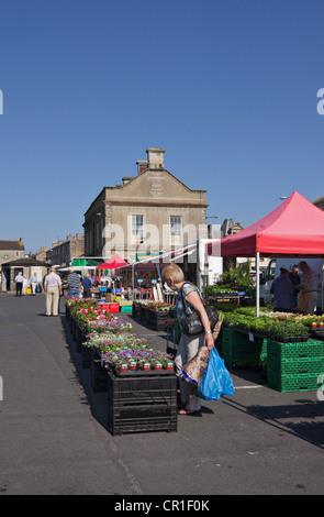 Giorno di mercato a Leyburn, North Yorkshire. La pianta stallo in primavera. La si svolge il mercato settimanale il venerdì. Foto Stock