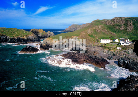Regno Unito, Cornwall, penisola di Lizard, Kynance Cove Foto Stock