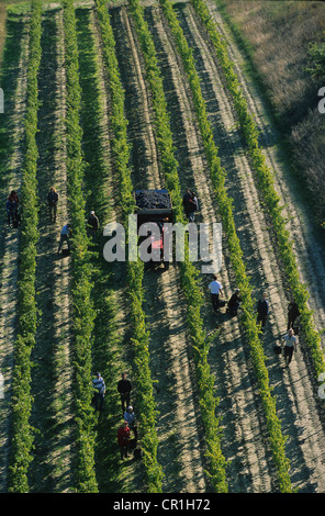 Francia, Vaucluse, Luberon Parco Naturale Regionale, Roussillon, etichettati Les Plus Beaux Villages de France, ballon volo sopra Foto Stock