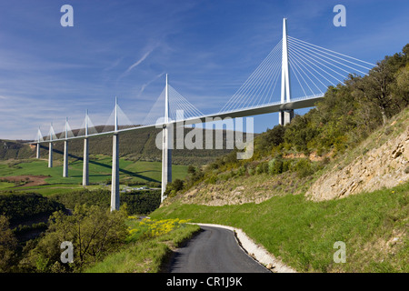 Francia, Aveyron, il viadotto di Millau (A75 autostrada) costruito da Michel Virlogeux e Norman Foster, situato tra il Causse de Foto Stock