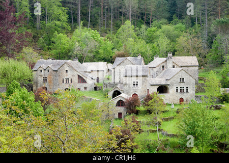 Francia, Lozère, Gorges du Tarn, La Croze frazione fra Causse Mejean e Tarn Foto Stock