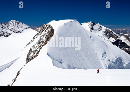 Gli alpinisti sul vertice ridge, arrampicata Mt Piz Palu, la vetta del Monte Piz Bernina con il Bianco ridge in retro, Grigioni Foto Stock