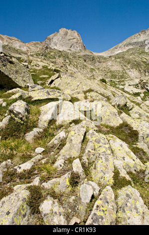 Spagna, Aragona, 1807-2007 Candolle spedizione tutto Pirenei sulle orme del botanico ginevrino Augustin Pyramus Foto Stock