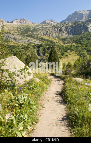 Spagna, Aragona, 1807-2007 Candolle spedizione tutto Pirenei sulle orme del botanico ginevrino Augustin Pyramus Foto Stock