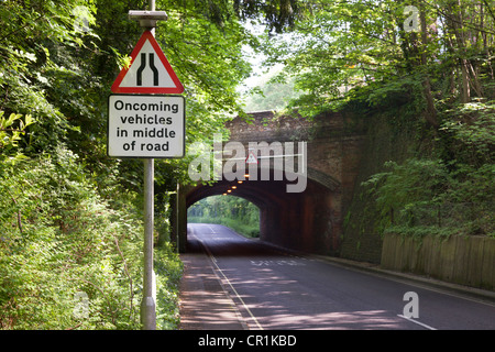 Strada si restringe cartello stradale veicoli che sopraggiungono in mezzo di strada con bassa bridhe Foto Stock