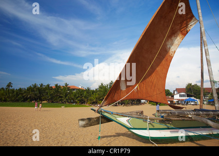 Oruwa (canoa outrigger) sulla spiaggia di Negombo, Nord provincia occidentale, Sri Lanka Foto Stock