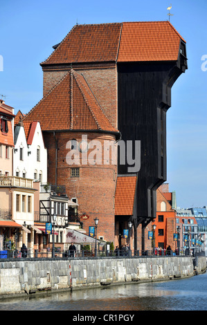 Vecchia gru e Harbour, Gdansk, Polonia Foto Stock