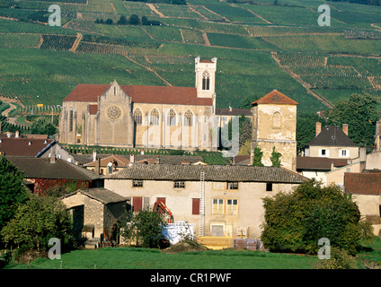 Francia, Saône et Loire, Fuisse, chiesa romanica nel mezzo del famoso Pouilly Fuisse vigneto Foto Stock