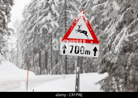 Cartello stradale, attenzione deer crossing, Oetscher-Tormaeuer Natura Park, Mostviertel, deve trimestre, Austria Inferiore, Austria, Europa Foto Stock