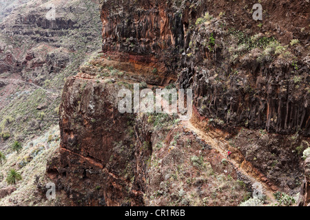 Sentiero escursionistico in una parete di roccia, Barranco de Guarimiar vicino Alajeró, La Gomera, isole Canarie, Spagna, Europa Foto Stock