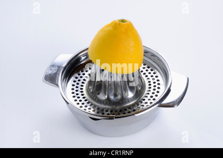 Limone su uno spremitore di limone Foto Stock