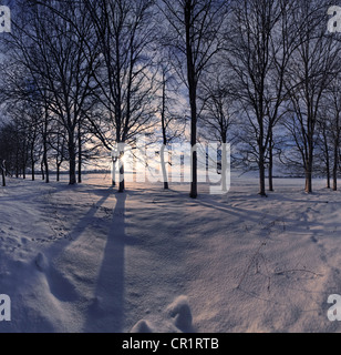 Paesaggio invernale con alberi al tramonto, Eichstaett, Baviera, Germania, Europa Foto Stock