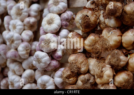 Gli stocchi di aglio e cipolle per la vendita Foto Stock