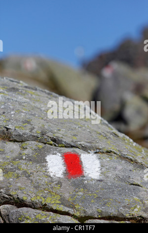 Sentiero escursionistico segno sulla pietra nelle Alpi, Cinque Laghi percorso escursionistico, Pizol, cantone di San Gallo, Svizzera, Europa, PublicGround Foto Stock