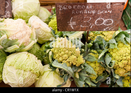 Ortaggi per la vendita al mercato di Campo de' Fiori, Roma, Italia, Europa Foto Stock