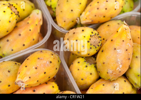 Cactus fichi per la vendita al mercato di Campo de' Fiori, Roma, Italia, Europa Foto Stock