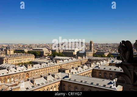 Francia, Parigi, vista generale da Notre Dame de Paris cathedral Foto Stock