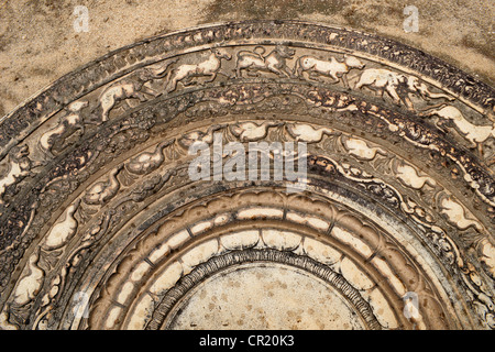 La pietra di luna a Mahasena's Palace, Anuradhapura, Sri Lanka Foto Stock