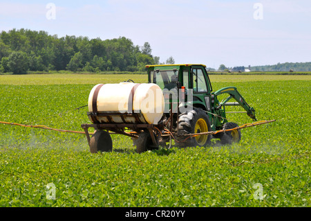 Il trattore è in funzione campo di fattoria di fagioli di soia di spruzzatura vicino Croswell Michigan Foto Stock