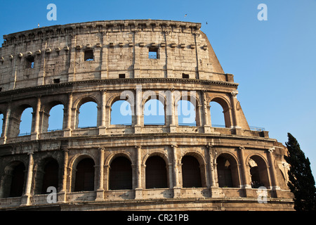 Colosseo a Roma Foto Stock