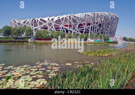 Cina: National Stadium, il nido di uccelli, sito di in occasione dei Giochi Olimpici di Pechino 2008 Foto Stock