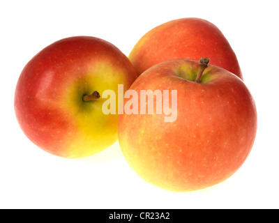 Una sana maturo dolce succosa Red Kanzi mele frutta, isolata contro uno sfondo bianco, con percorso di clipping e nessun popolo, pronto a mangiare Foto Stock