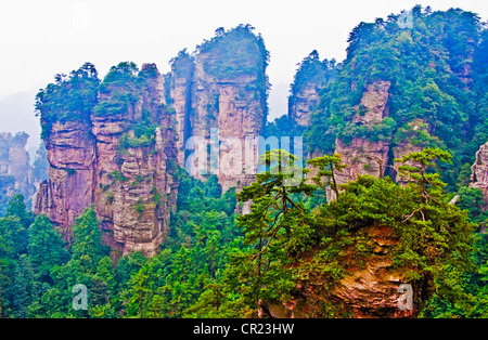 Cina: Zhangjiajie National Forest park view da giallo roccaforte di pietra (Huangshizhai) nella provincia del Hunan Foto Stock