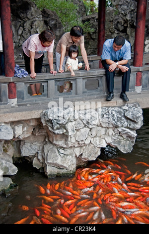 Cina: Ragazza alimentare goldfish a Shanghai il Giardino Yu Yuan Foto Stock