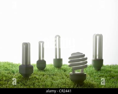 Lampadine fluorescenti in erba Foto Stock
